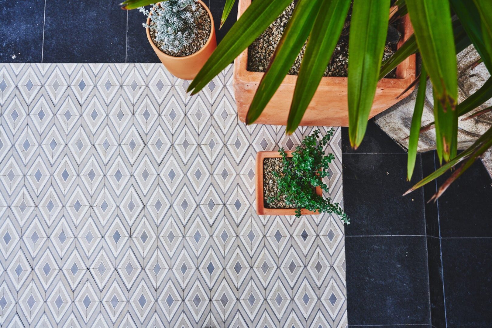 Terremoto Landscape | Photo by Caitlin Atkinson Slab