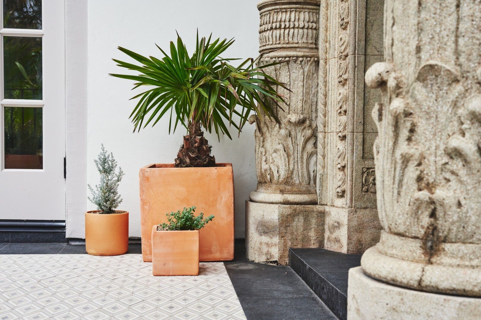 Terremoto Landscape | Photo by Caitlin Atkinson Slab