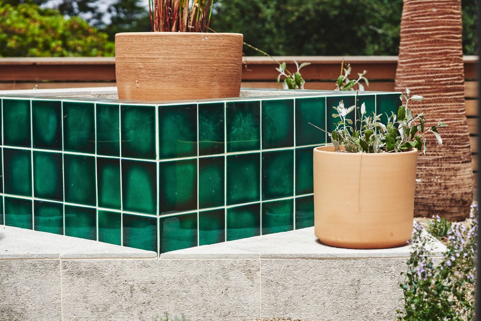 Terremoto Landscape | Photo by Caitlin Atkinson Slab