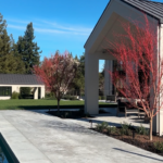 Architect, Designer & Builder: PPG | Material: Seville Flamed & Brushed