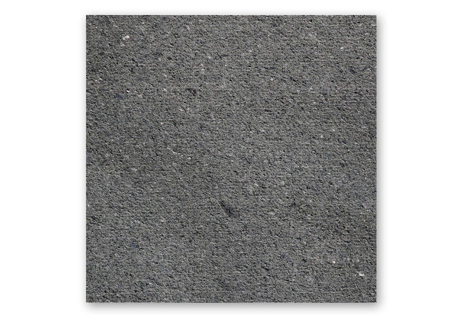 Macrolinea