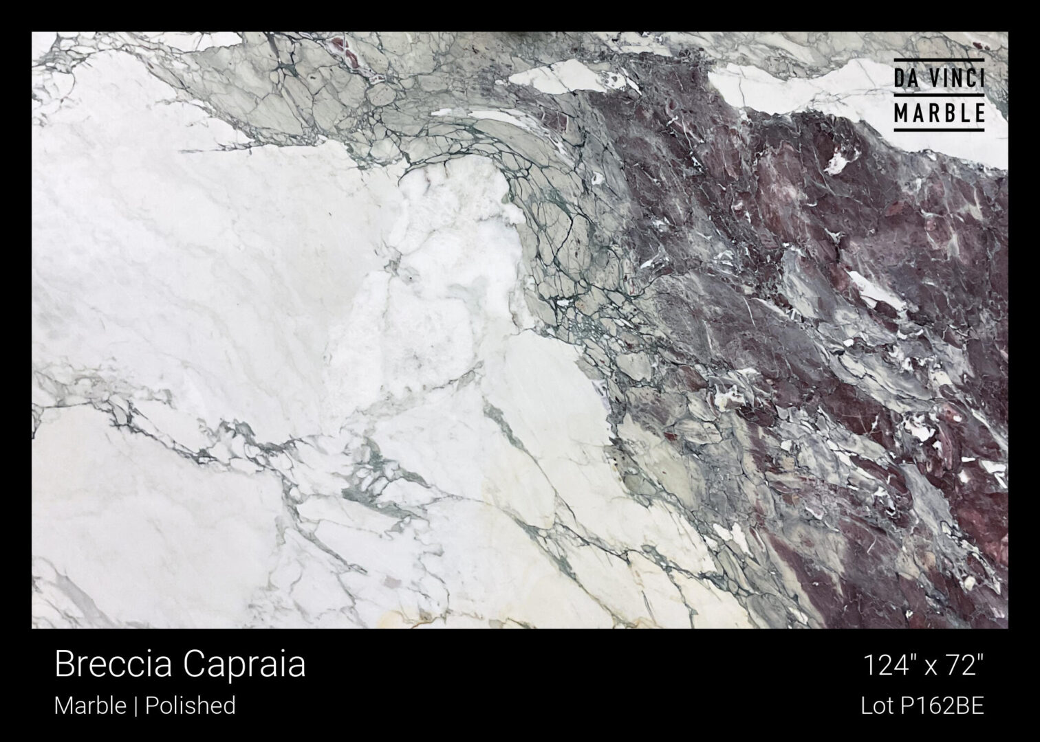 Breccia Capraia Nov 2025