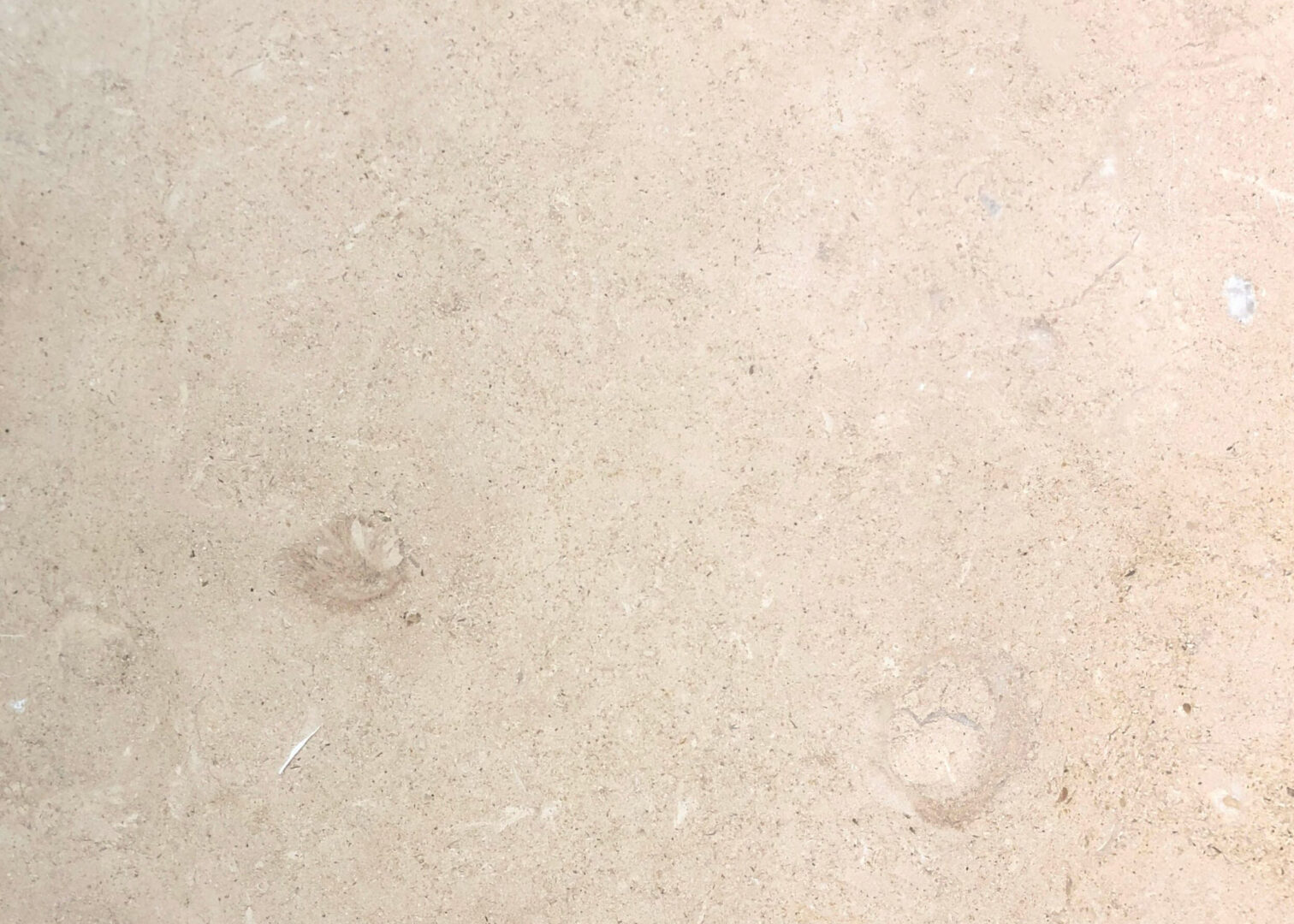 Corton Beige Limestone Tile