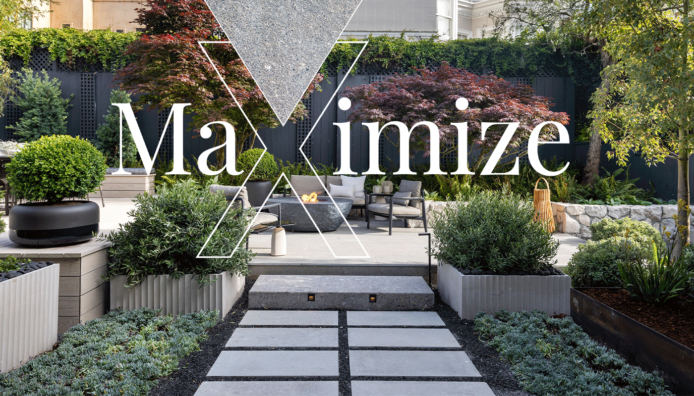 Maximize Campaign Da Vinci Marble San Carlos
